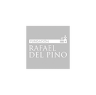 Logo Fundación Rafael del Pino