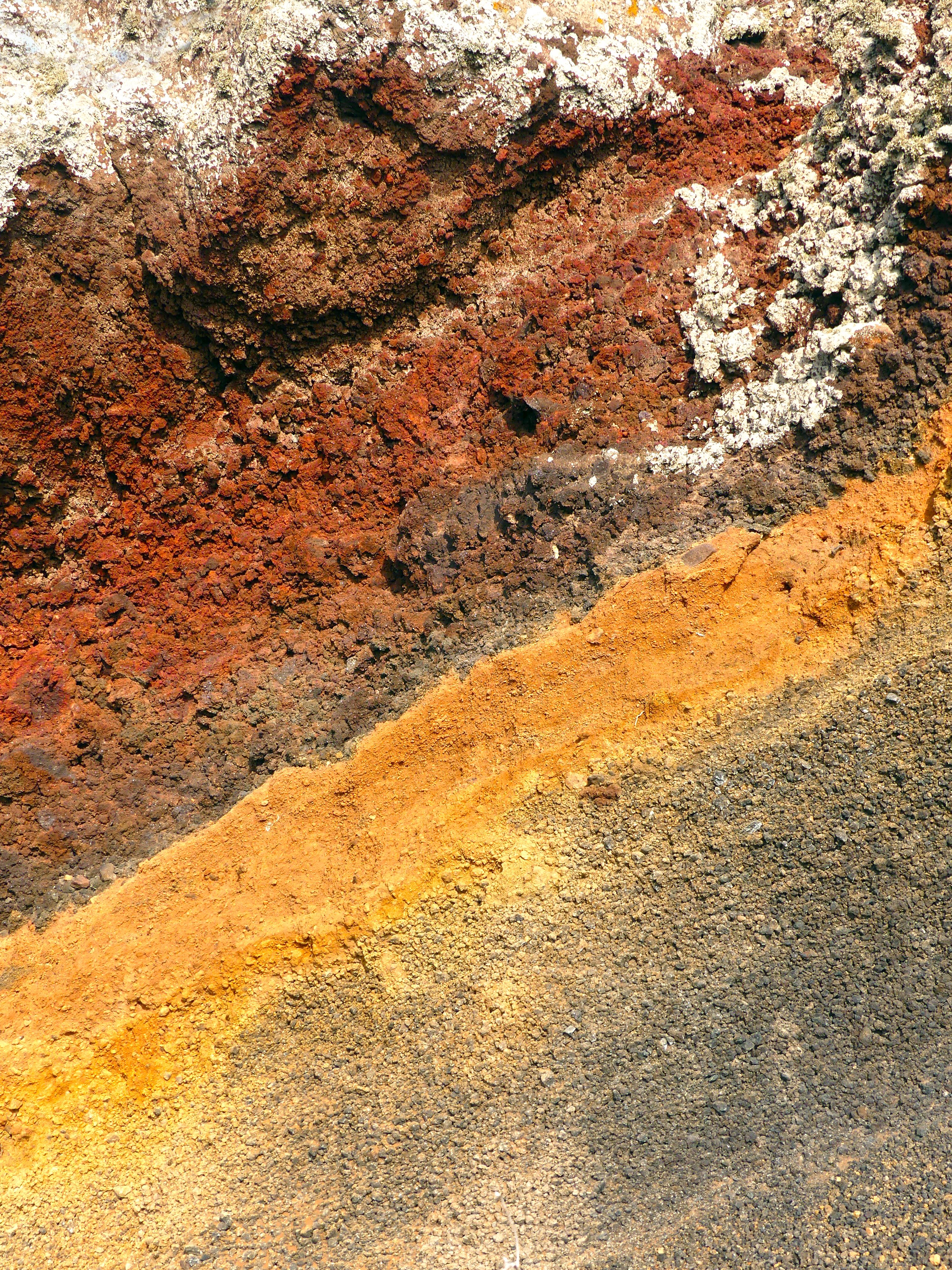 biomineria